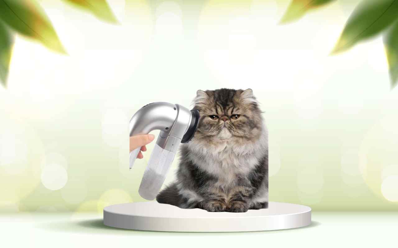 Prova SpazzolAmica: elimina i peli degli animali e migliora la pulizia di casa